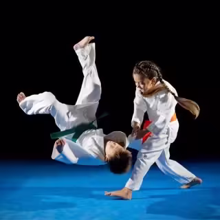 Единоборства