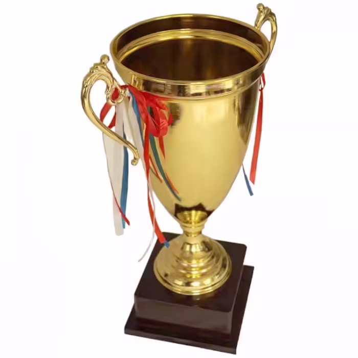 Cupe HAOYUNQI Trophy - 3