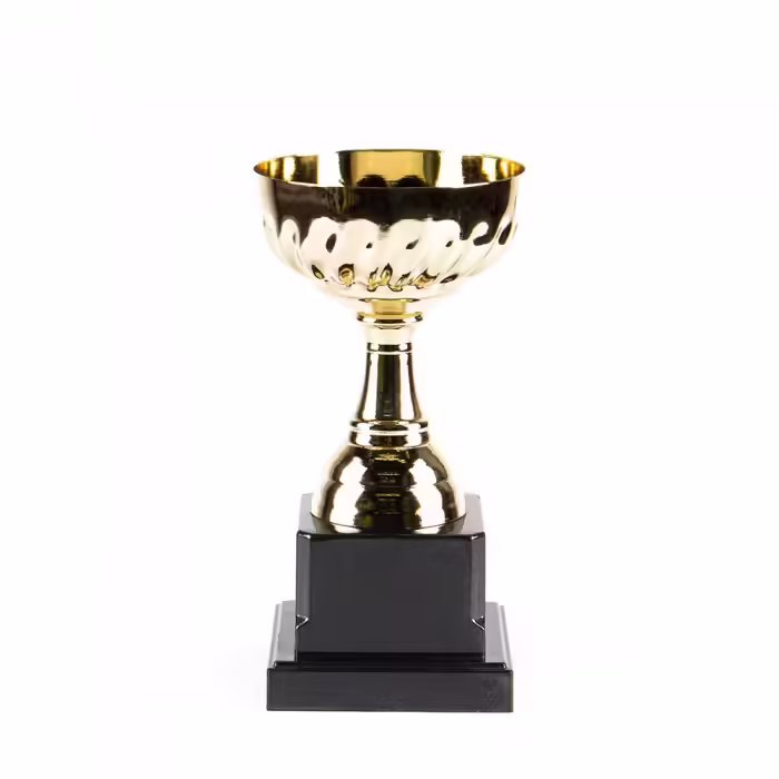 Cupe HAOYUNQI Gold Cup