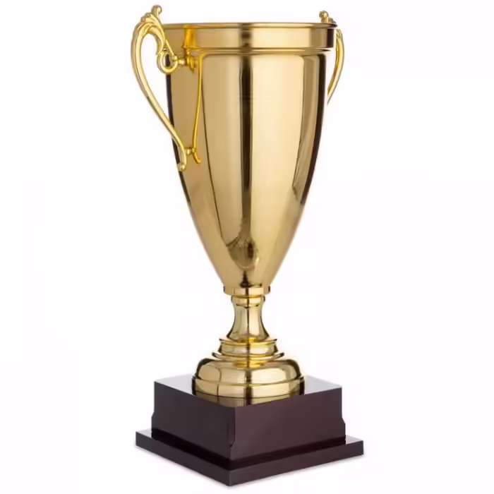 Cupe HAOYUNQI Trophy - 3