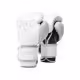 Manusi box Everlast Powerlock 2R