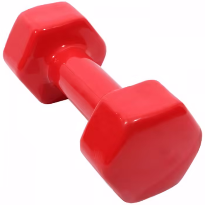 Gantera 6 kg SILAPRO Ganter - 2