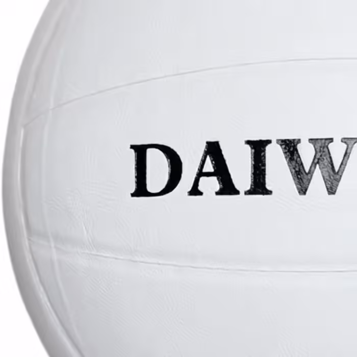 Minge voley Media Daiweisi - 4