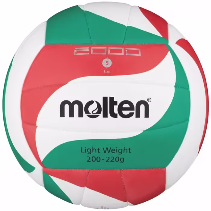 Minge volei Molten V5M2000-L