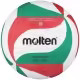 Minge volei Molten V5M2000-L