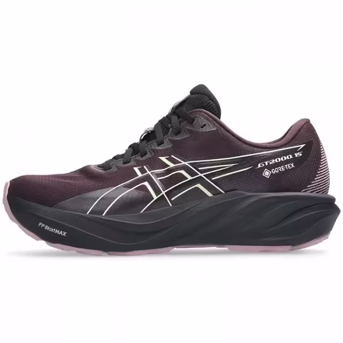 Incaltaminte Sport Asics GT-2000 15 GTX