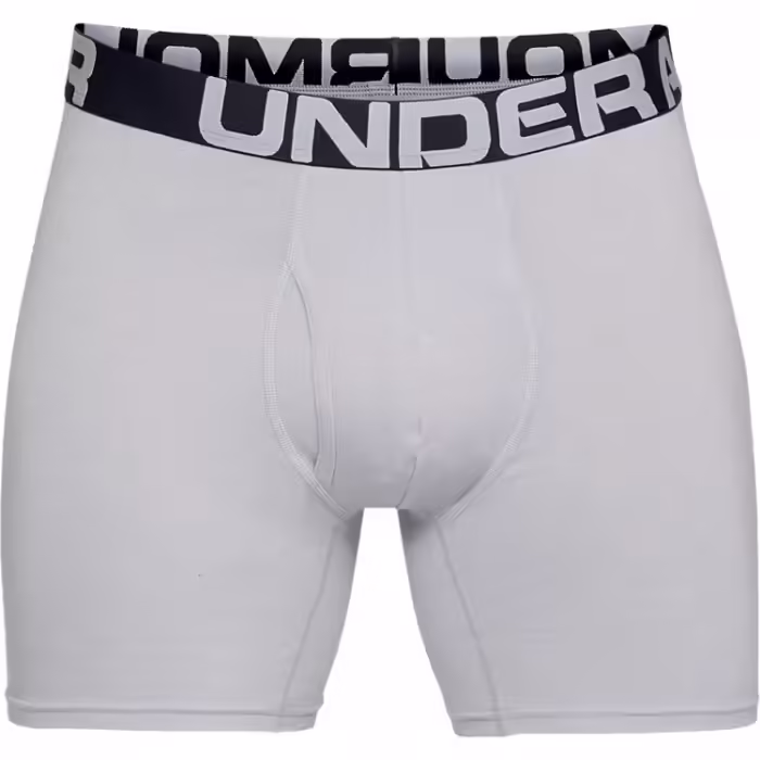Boxeri Under Armour Charged Cotton 6in 3 Pack - 6