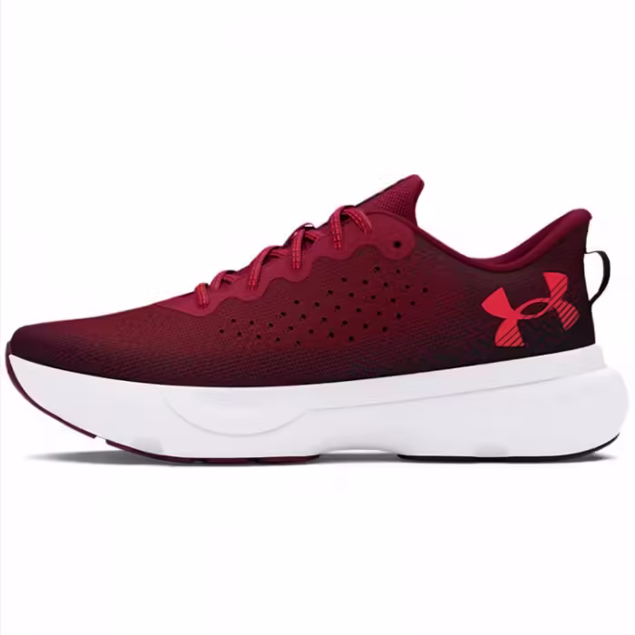 Кроссовки Under Armour UA Infinite
