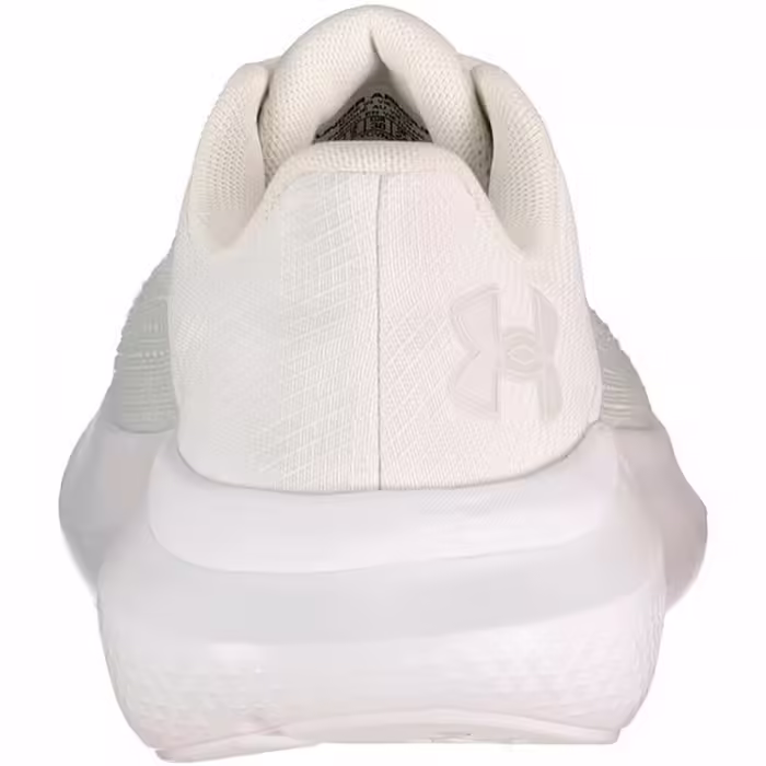 Кроссовки Under Armour UA W Charged Rogue 5 Белый 39 - 6