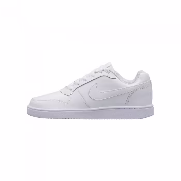 Incaltaminte Sport Nike WMNS EBERNON LOW