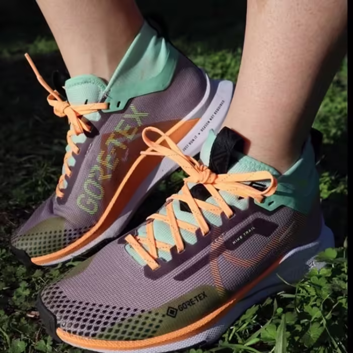 Incaltaminte Sport Nike W REACT PEGASUS TRAIL 4 GTX - 3