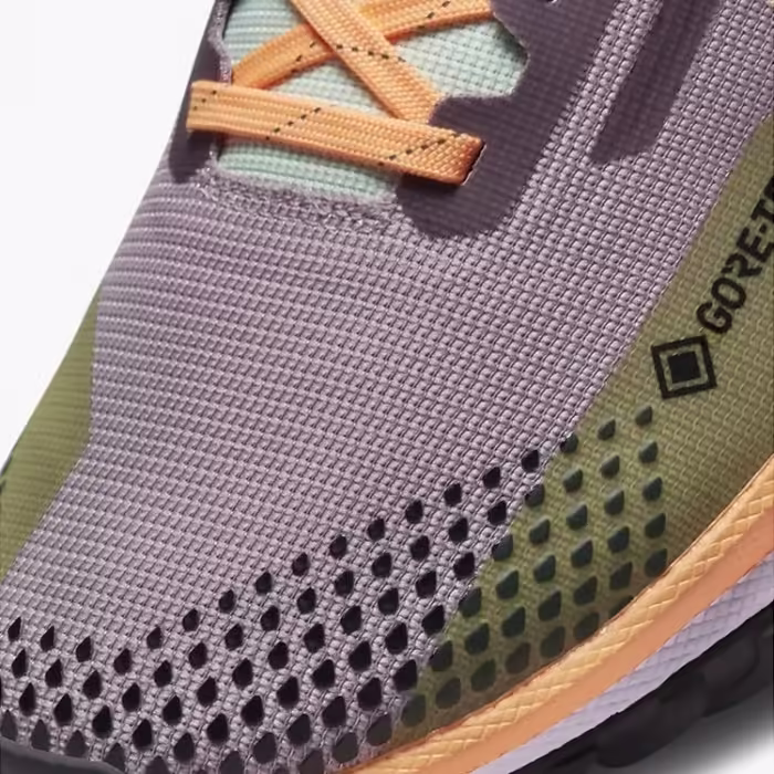 Incaltaminte Sport Nike W REACT PEGASUS TRAIL 4 GTX - 10