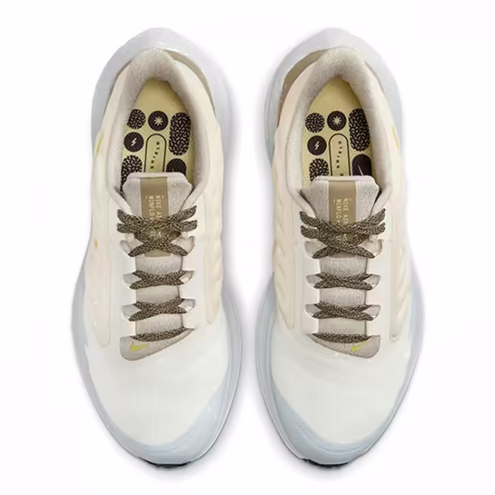 Кроссовки Nike WMNS AIR WINFLO 9 SHIELD - 4