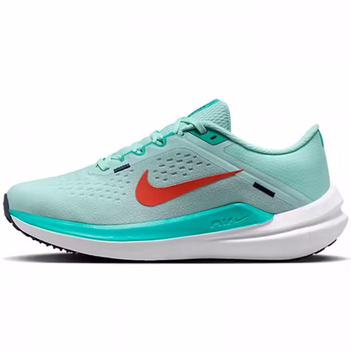 Кроссовки Nike W AIR WINFLO 10
