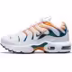 Кроссовки Nike AIR MAX PLUS PS