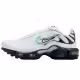 Incaltaminte Sport Nike AIR MAX PLUS GS