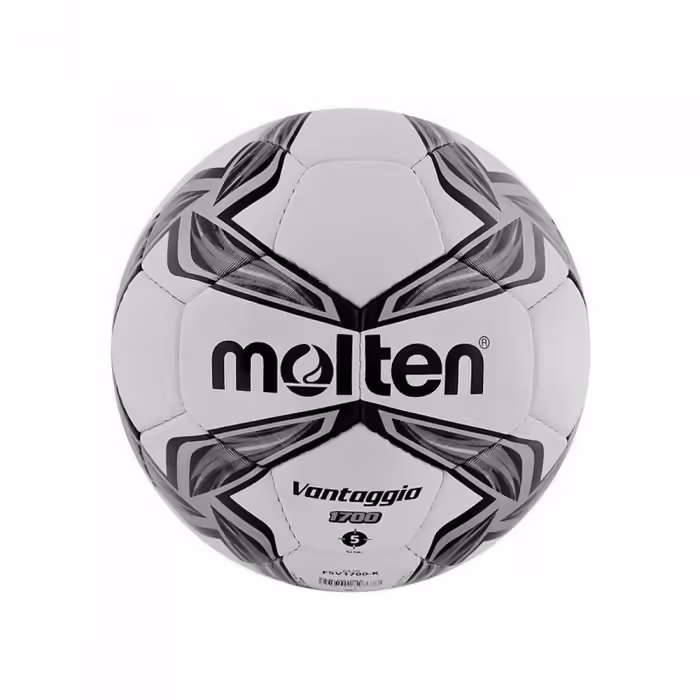 Мяч футбольный Molten Football