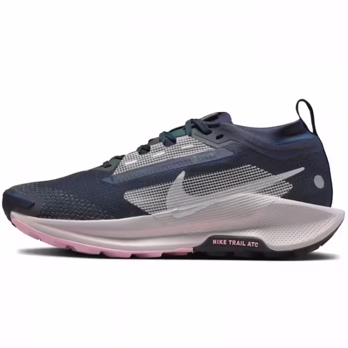 Incaltaminte Sport Nike W PEGASUS TRAIL 5 GTX