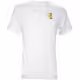 Tricou Nike M NKCT DF TEE OPEN SP24