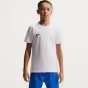 Alb