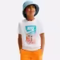 Alb