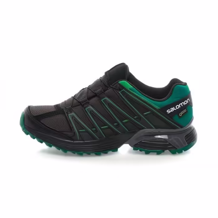 Кроссовки Salomon XT ASAMA GTX®