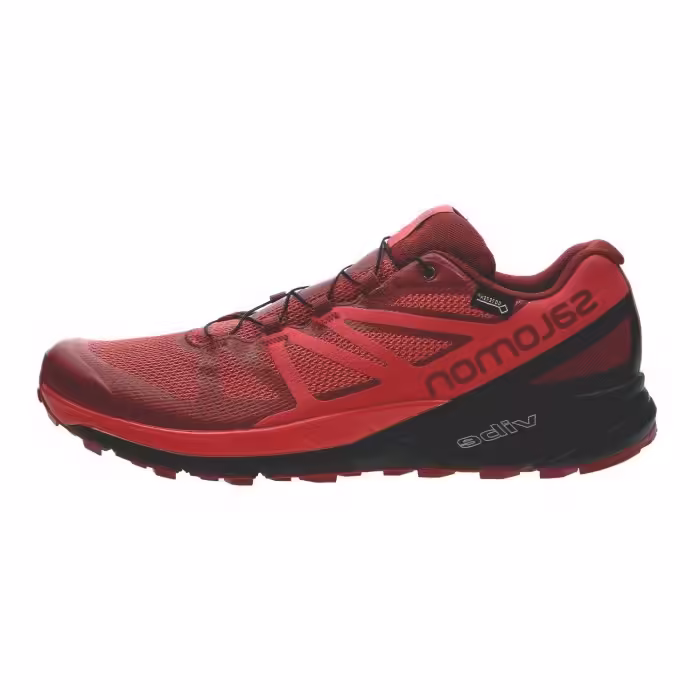 Кроссовки Salomon SENSE RIDE GTX INVISIBLE FIT RD D