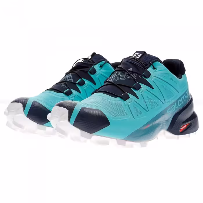 Incaltaminte Sport Salomon SHOES SPEEDCROSS 5 GTX W Albastru deschis 37.5 - 4