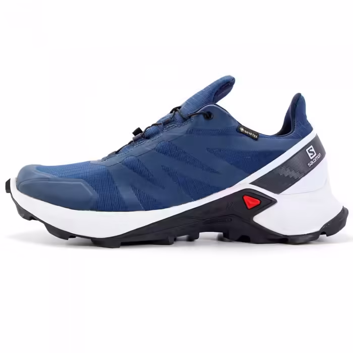 Кроссовки Salomon SUPERCROSS GTX Синий 44.5