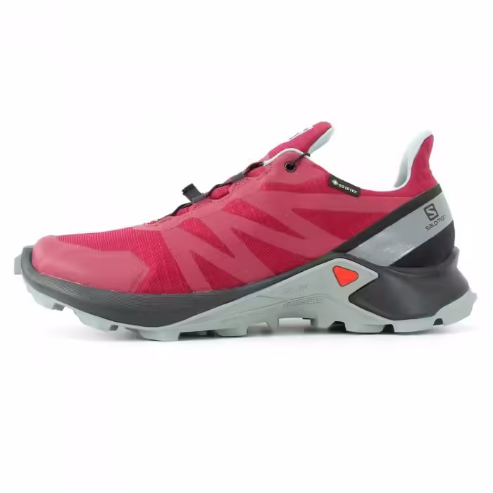 Кроссовки Salomon SUPERCROSS GTX W Фиолетовый 37.5