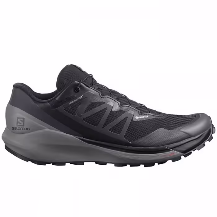 Incaltaminte Sport Salomon SENSE RIDE 4 INVISIBLE GTX - 2