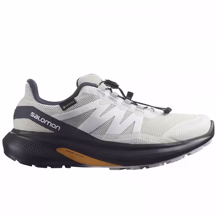 Incaltaminte Sport Salomon SHOES HYPULSE GTX W - 2
