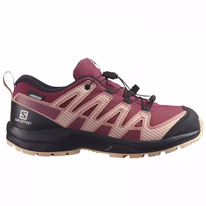 Кроссовки Salomon XA PRO V8 CSWP J - 4