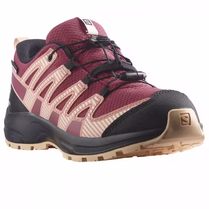 Кроссовки Salomon XA PRO V8 CSWP J - 5