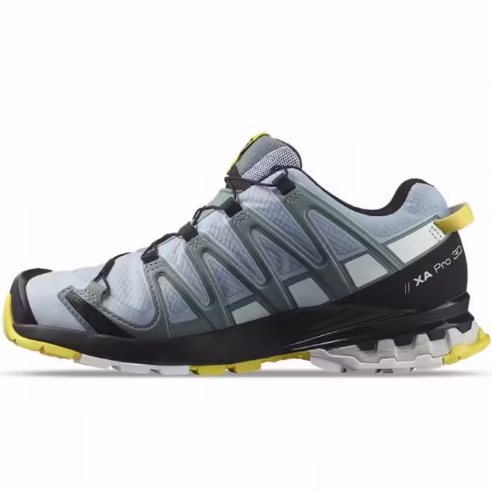 Кроссовки Salomon XA PRO 3D v8 GTX W