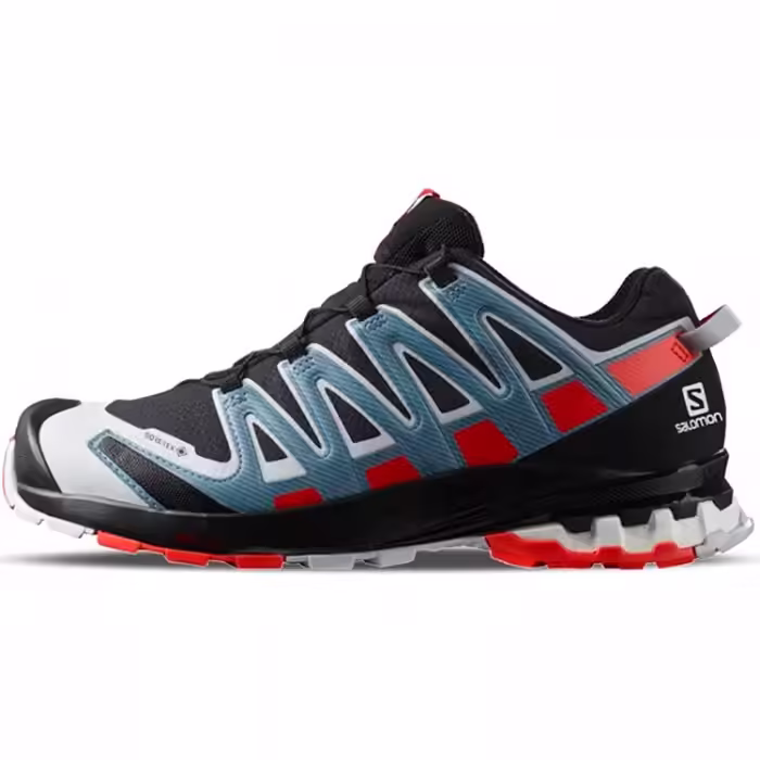Кроссовки Salomon SHOES XA PRO 3D v8 GTX