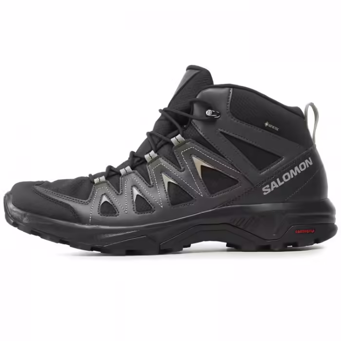 Ботинки Salomon X BRAZE MID GTX
