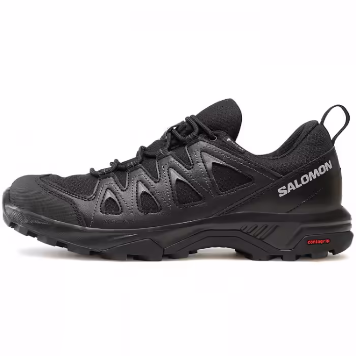 Кроссовки Salomon BRAZE GTX