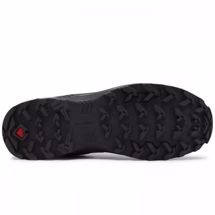 Incaltaminte Sport Salomon X BRAZE GTX - 4