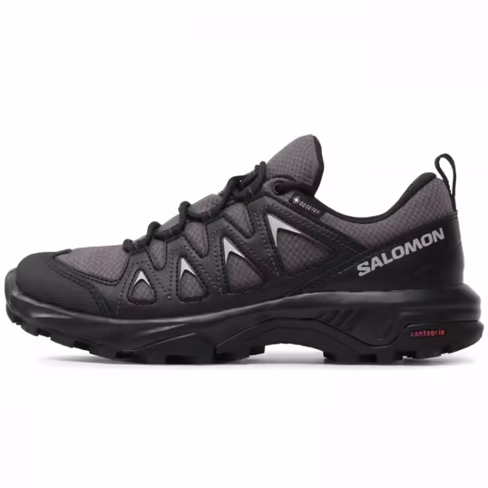 Кроссовки Salomon X BRAZE GTX W