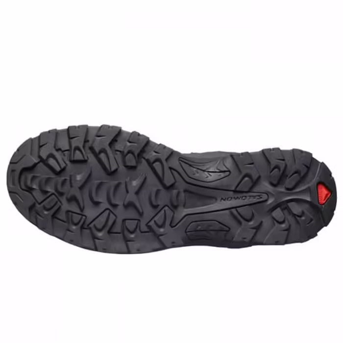 Ботинки Salomon SHOES QUEST ROVE GTX - 2