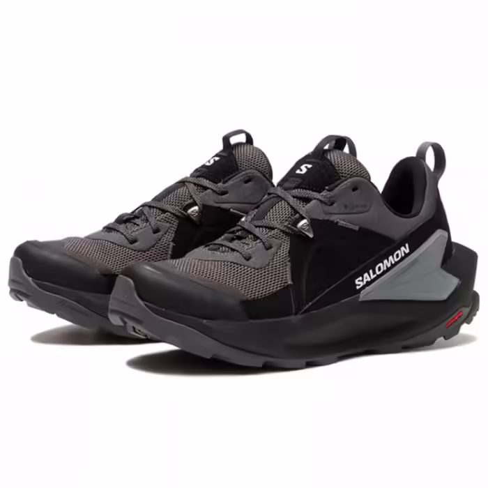 Incaltaminte Sport Salomon SHOES ELIXIR GTX - 2