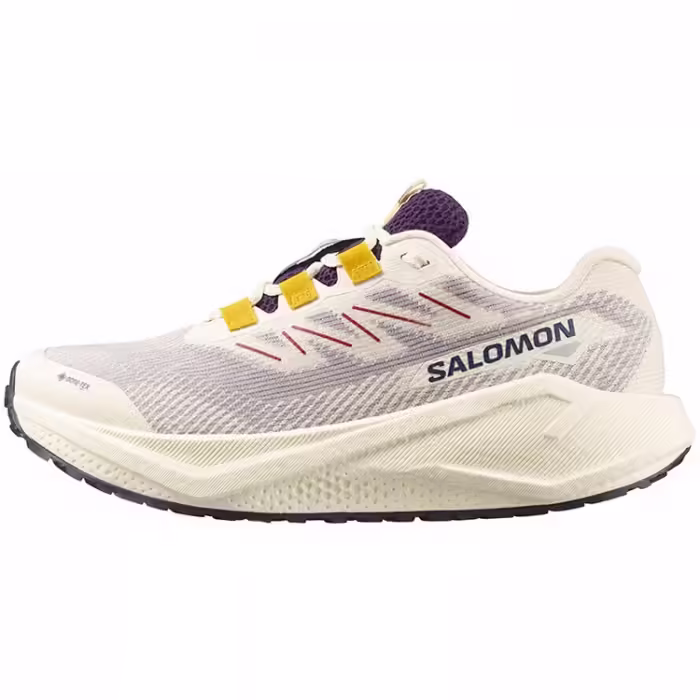 Incaltaminte Sport Salomon AERO BLAZE