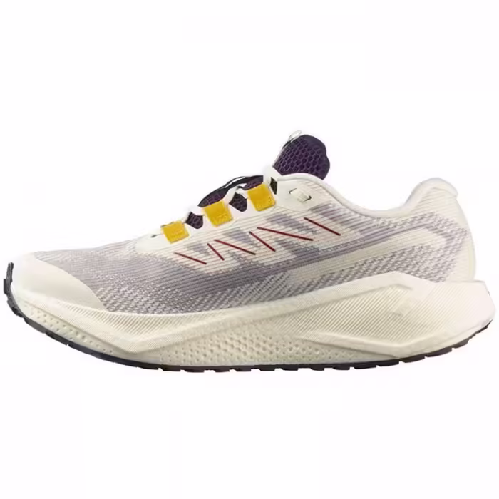 Incaltaminte Sport Salomon AERO BLAZE - 2