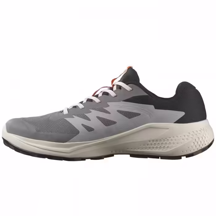 Кроссовки Salomon ALPHAGLIDE GTX M