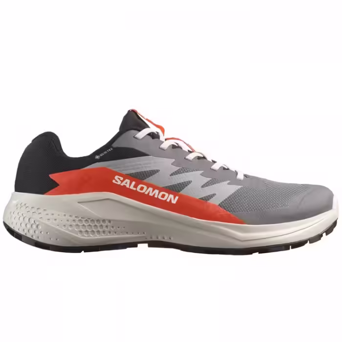 Кроссовки Salomon ALPHAGLIDE GTX M - 3