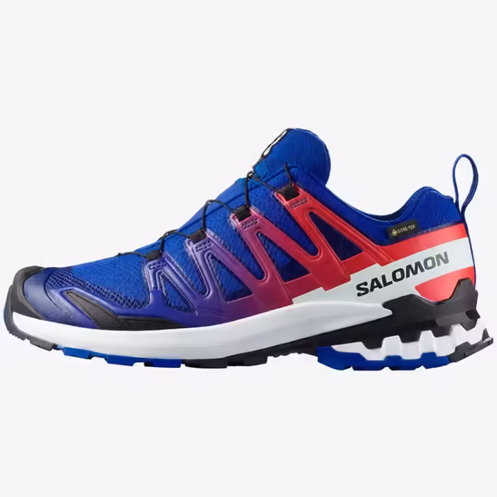 Incaltaminte Sport Salomon XA PRO