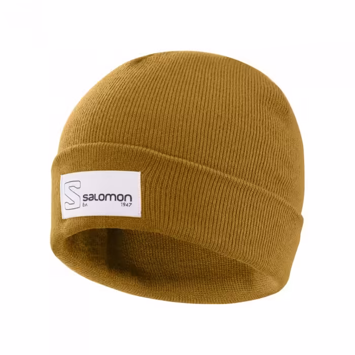 Шапка Salomon BEANIE LOGO