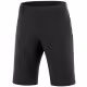 Шорты Salomon WAYFARER SHORTS M