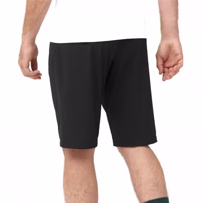 Шорты Salomon WAYFARER SHORTS M - 2